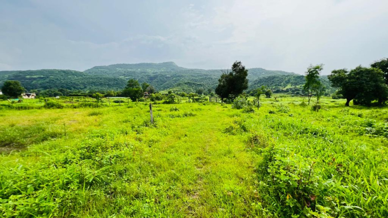  Residential Plot 6 Acre for Sale in Karjat, Mumbai