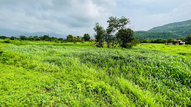  Residential Plot 6 Acre for Sale in Karjat, Mumbai