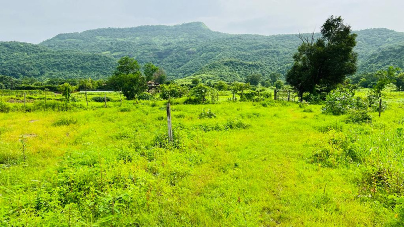  Residential Plot 6 Acre for Sale in Karjat, Mumbai
