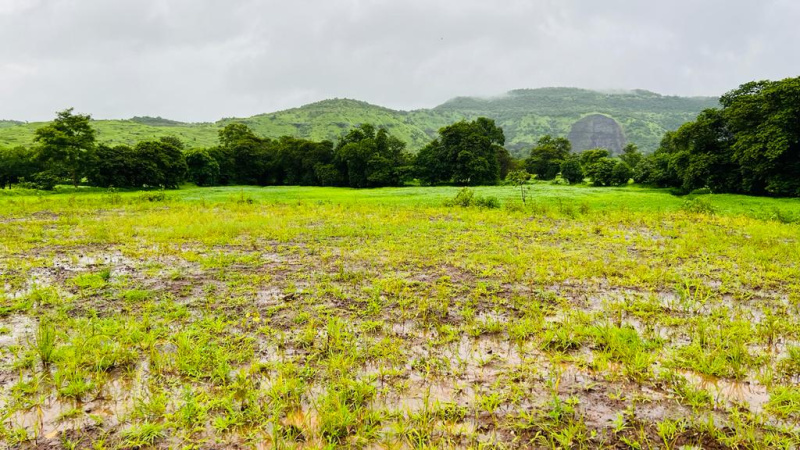  Residential Plot 20 Acre for Sale in Karjat, Mumbai