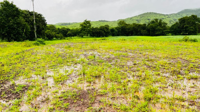  Residential Plot 20 Acre for Sale in Karjat, Mumbai