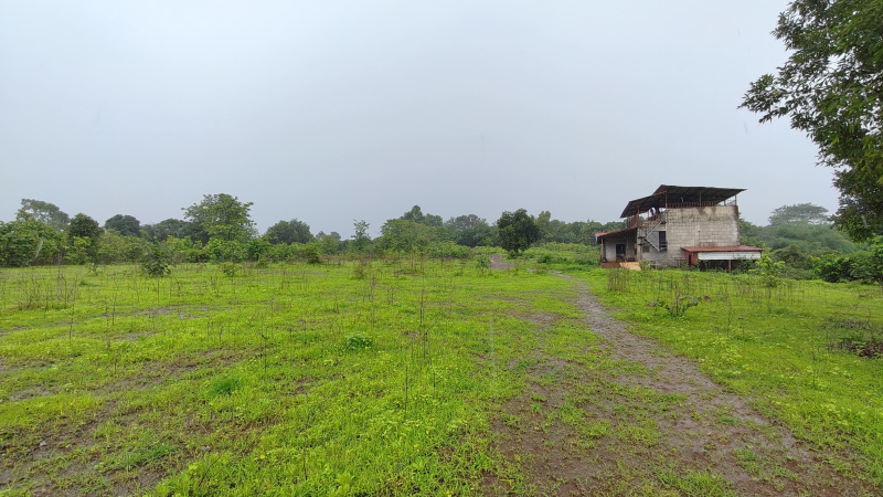  Agricultural Land 3 Acre for Sale in Karjat, Mumbai