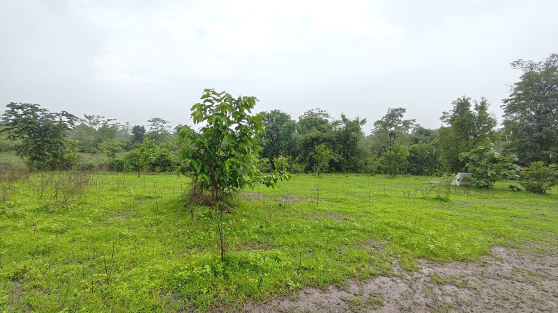  Agricultural Land 3 Acre for Sale in Karjat, Mumbai