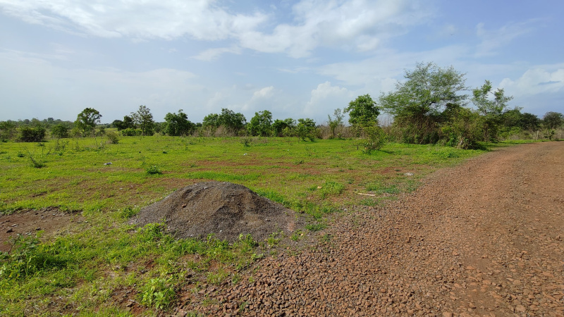  Agricultural Land 56 Guntha for Sale in Karjat, Mumbai