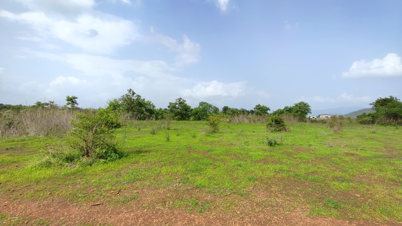  Agricultural Land 56 Guntha for Sale in Karjat, Mumbai