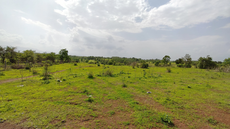  Agricultural Land 56 Guntha for Sale in Karjat, Mumbai