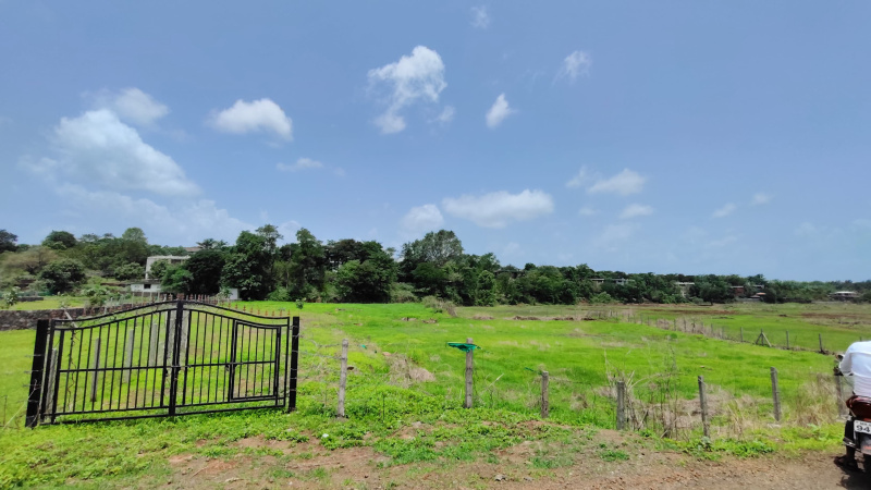  Agricultural Land 60 Guntha for Sale in Karjat, Mumbai