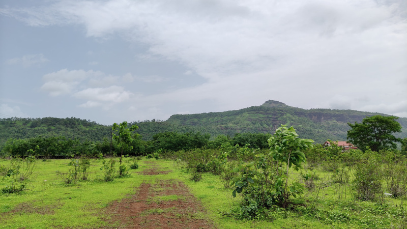  Agricultural Land 3 Acre for Sale in Karjat, Mumbai