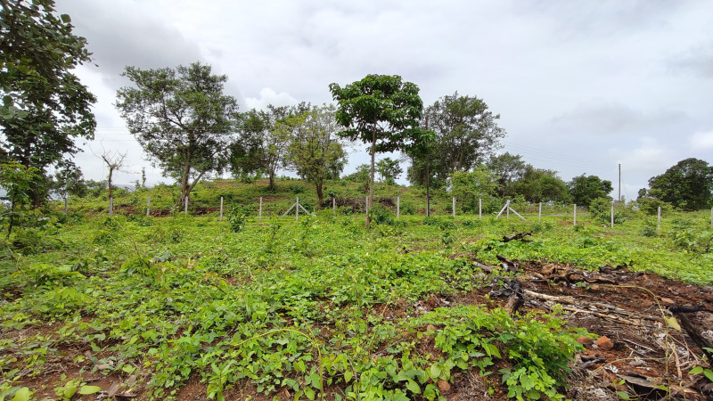  Agricultural Land 105 Guntha for Sale in Karjat, Mumbai