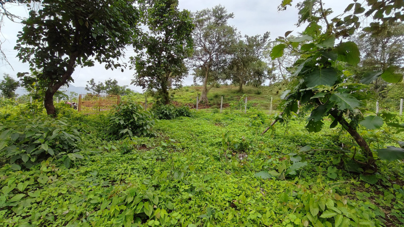  Agricultural Land 105 Guntha for Sale in Karjat, Mumbai