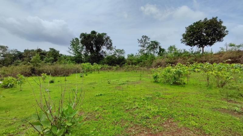  Agricultural Land 39 Guntha for Sale in Karjat, Mumbai