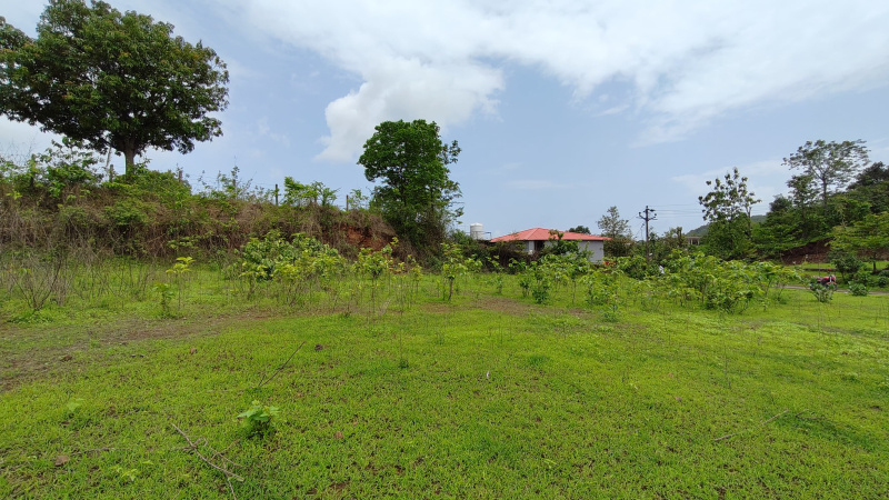  Agricultural Land 39 Guntha for Sale in Karjat, Mumbai