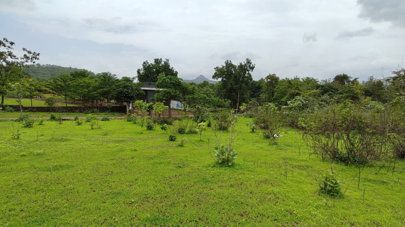  Agricultural Land 39 Guntha for Sale in Karjat, Mumbai
