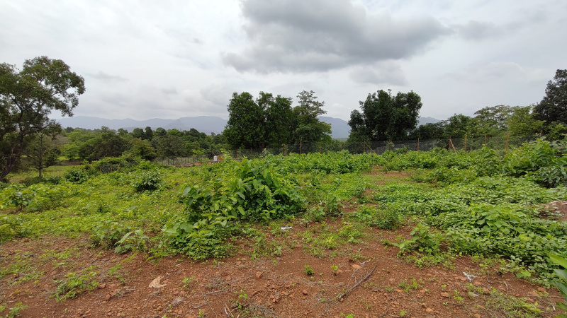  Agricultural Land 27 Guntha for Sale in Karjat, Mumbai