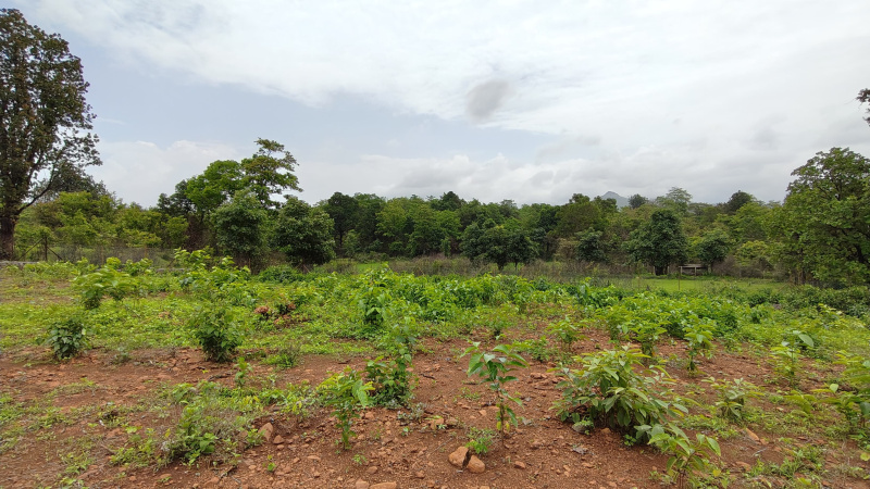  Agricultural Land 27 Guntha for Sale in Karjat, Mumbai