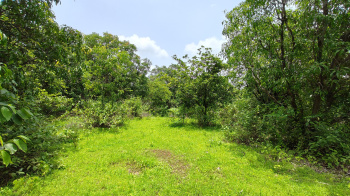  Agricultural Land for Sale in Karjat, Mumbai