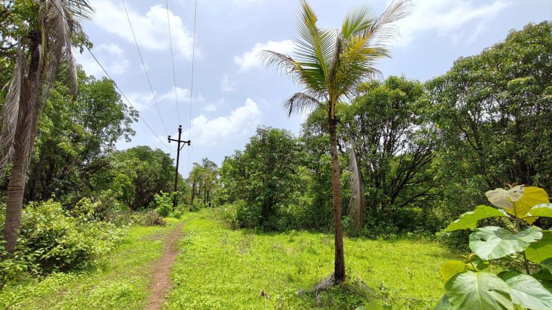 Agricultural Land 23 Acre for Sale in Karjat, Mumbai