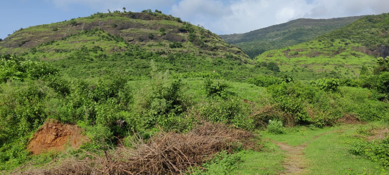  Residential Plot 800 Sq.ft. for Sale in Karjat, Mumbai
