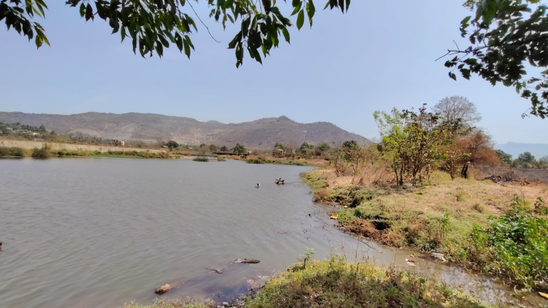  Agricultural Land 50 Guntha for Sale in Karjat, Mumbai