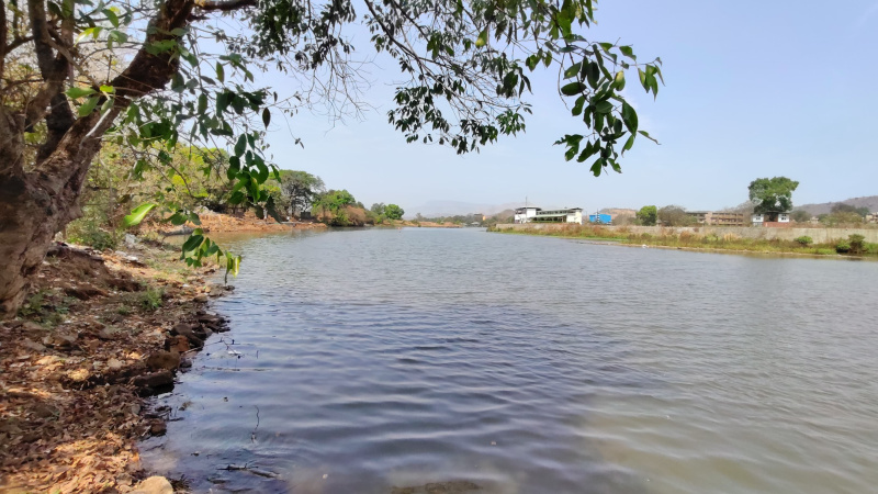  Agricultural Land 50 Guntha for Sale in Karjat, Mumbai