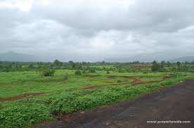 Agricultural Land 261 Acre for Sale in Karjat, Mumbai