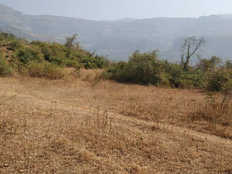 Agricultural Land 125 Acre for Sale in Karjat, Mumbai