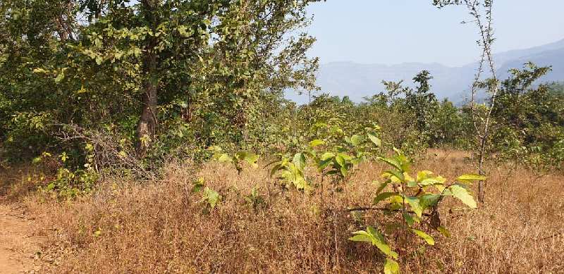 Agricultural Land 13 Acre for Sale in Karjat, Mumbai