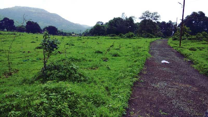 Agricultural Land 7 Acre for Sale in Karjat, Mumbai