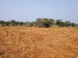  Agricultural Land for Sale in Karjat, Navi Mumbai