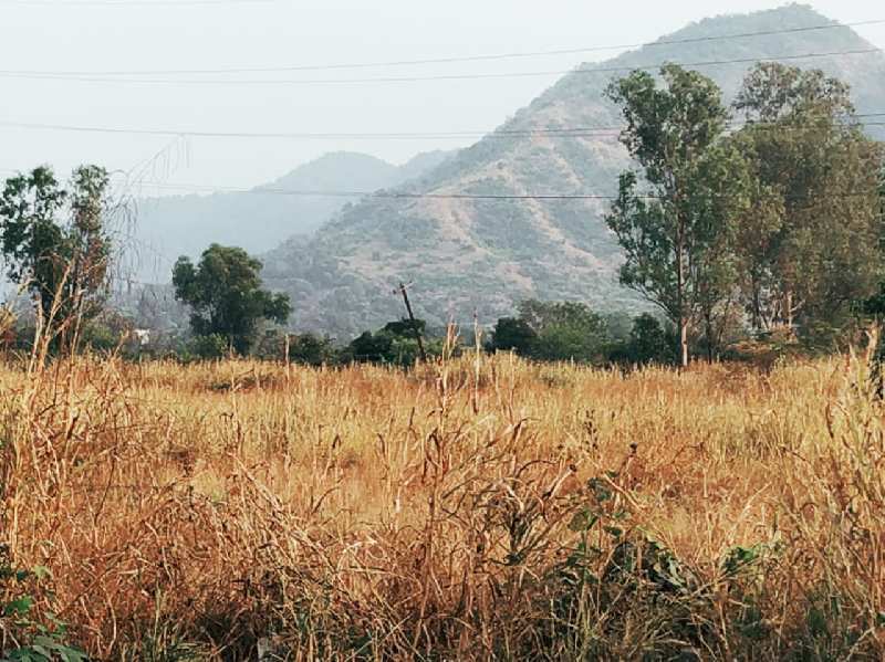 Agricultural Land 1 Acre for Sale in Karjat, Mumbai