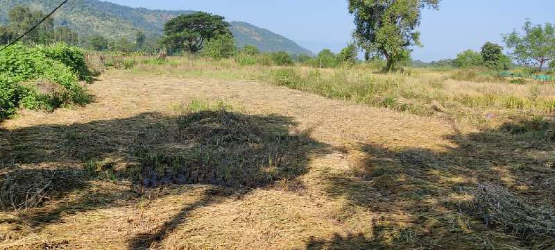 Agricultural Land 31 Guntha for Sale in