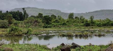 Agricultural Land for Sale in Karjat, Mumbai