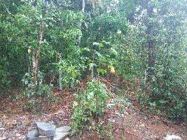  Residential Plot for Sale in Puthuppally, Kottayam
