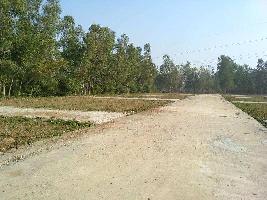  Residential Plot for Sale in Har Ki Pauri, Haridwar