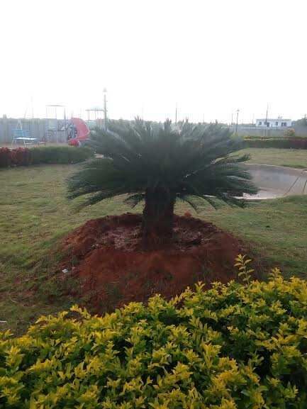  Residential Plot 1200 Sq.ft. for Sale in Sarjapur, Bangalore