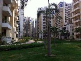 7 BHK Flat for Sale in Sector 29 Noida