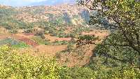  Agricultural Land 150 Guntha for Sale in Mahabaleshwar Mahabaleshwar