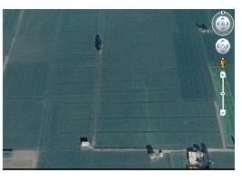  Agricultural Land for Sale in Sehna, Barnala