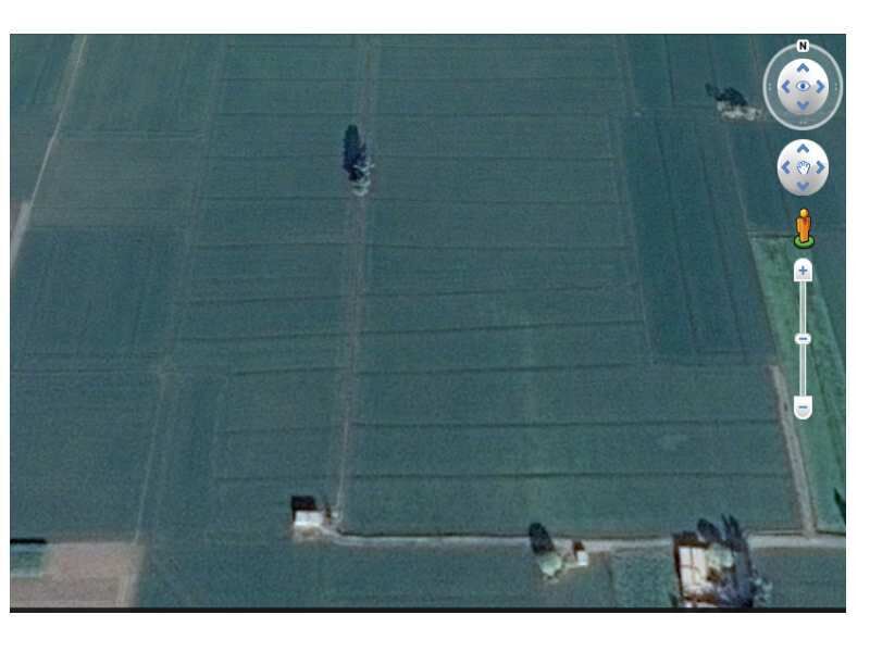  Agricultural Land 9 Acre for Sale in Sehna, Barnala