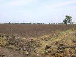  Agricultural Land for Sale in Shirur, Nagpur