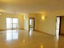 3 BHK Flat for Rent in Whitefield, Bangalore