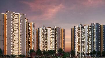 1 BHK Flat for Sale in Hinjewadi, Pune