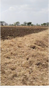  Agricultural Land for Sale in Multai, Betul