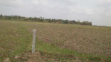  Commercial Land for Sale in Paradip, Jagatsinghapur