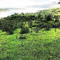  Commercial Land for Sale in Lonavala, Pune