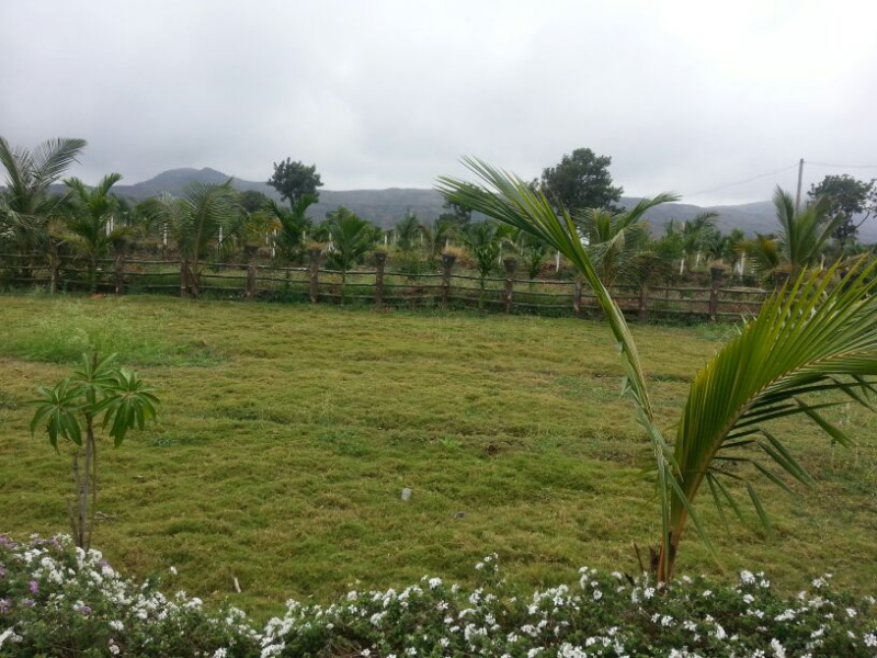  Agricultural Land 10000 Sq.ft. for Sale in Uruli Kanchan, Pune
