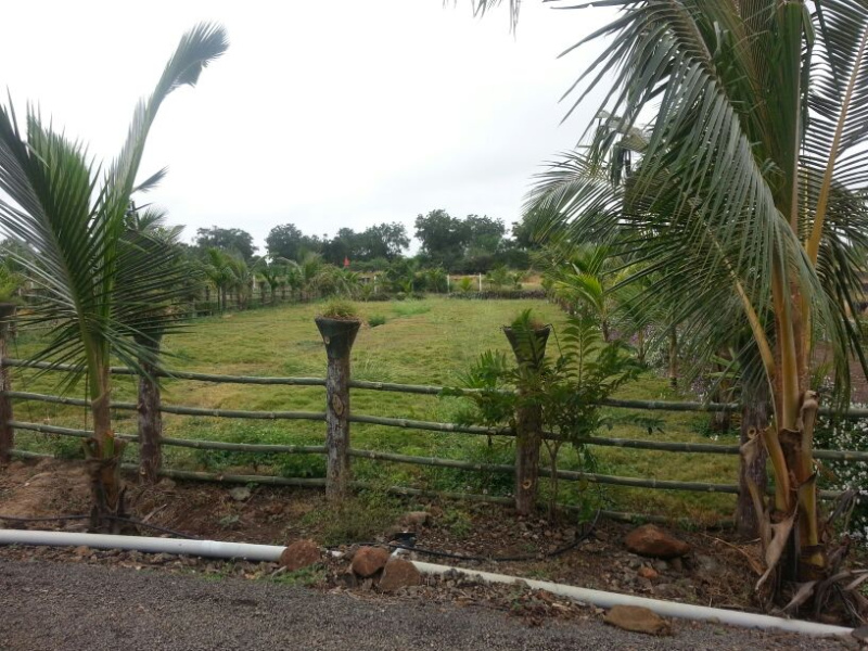  Agricultural Land 10000 Sq.ft. for Sale in Uruli Kanchan, Pune