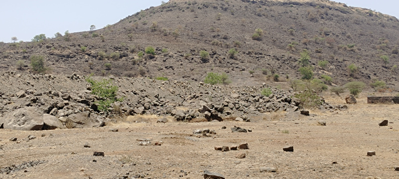  Agricultural Land 60 Acre for Sale in Saswad, Pune