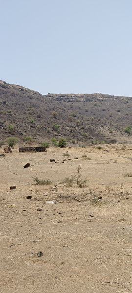  Agricultural Land 60 Acre for Sale in Saswad, Pune