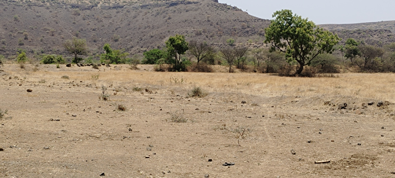 Industrial Land 425000 Sq.ft. for Sale in Talegaon Dabhade, Pune